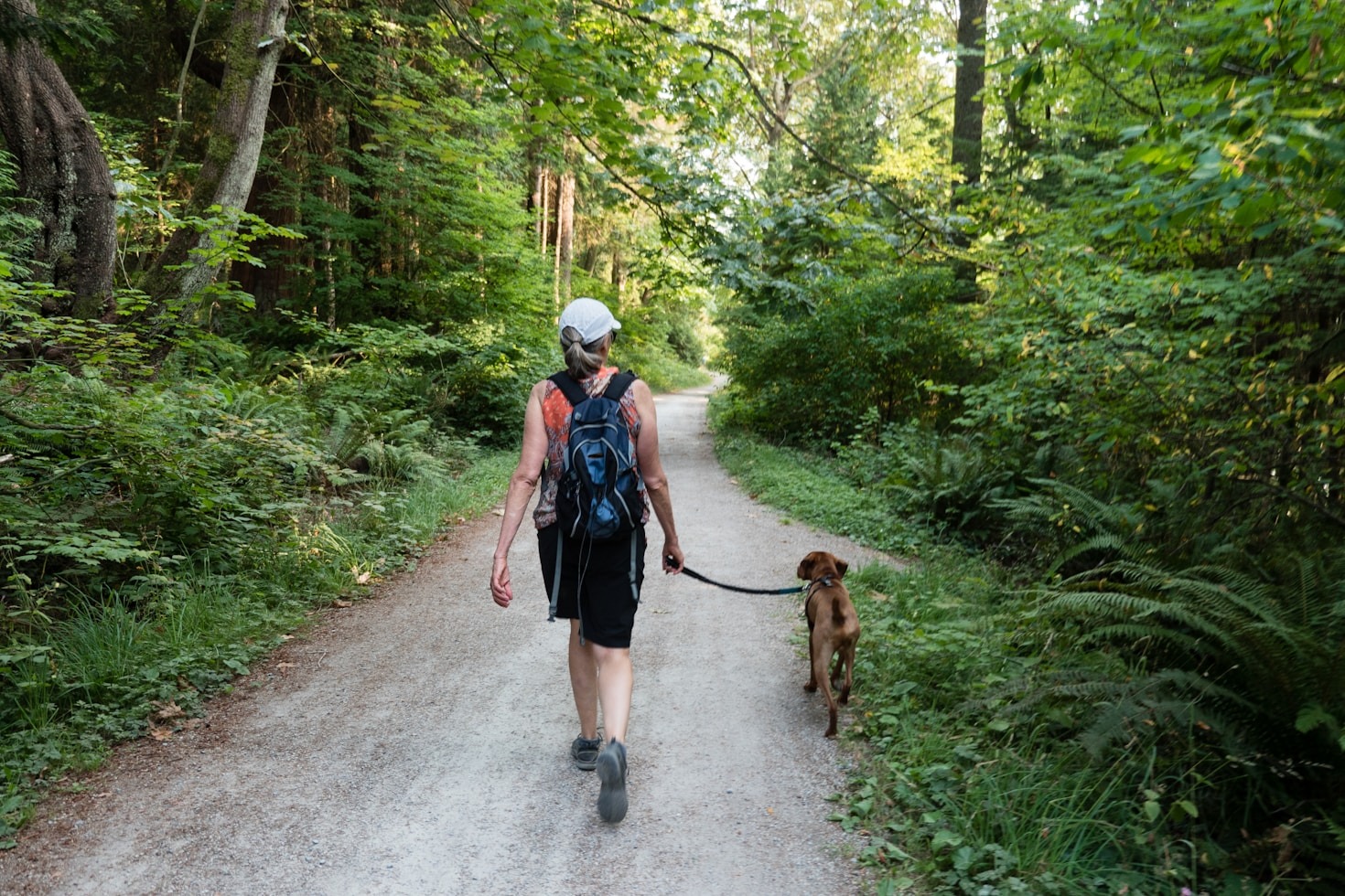 The Secret to Socialising Your Dog? It Starts with a Walk